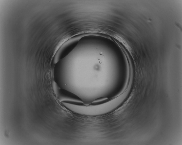 X0000091881097200709121409