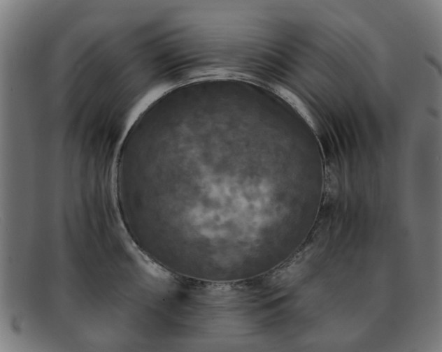X0000091881098200709121409
