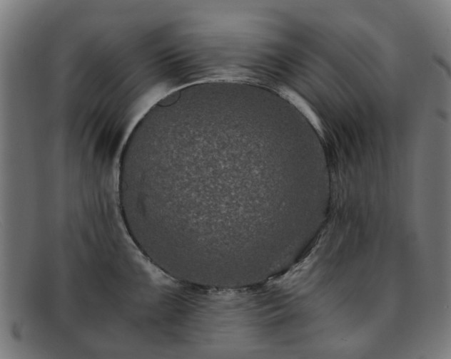 X0000091881099200709121409