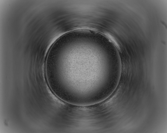 X0000091881100200709121409