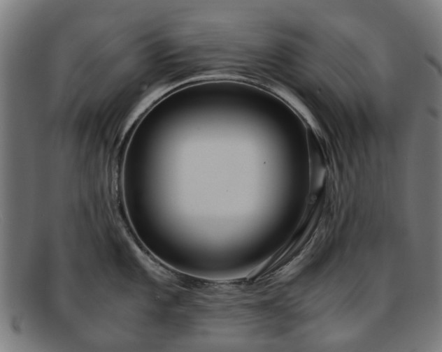 X0000091881101200709121409
