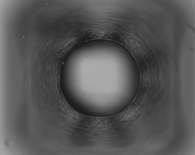 X0000091881105200709121408