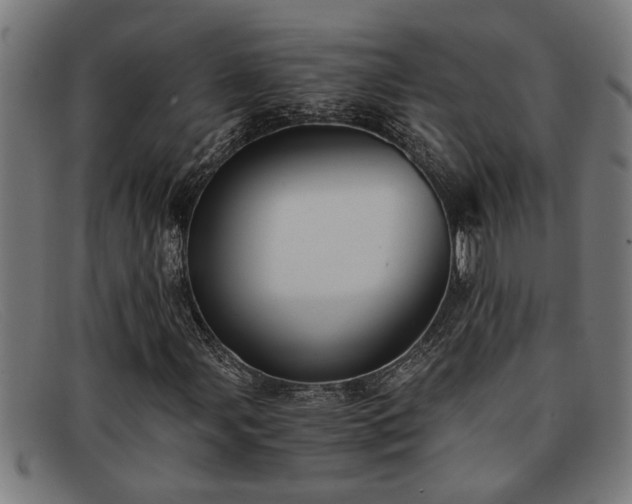 X0000091881107200709121408