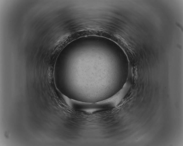 X0000091881110200709121408