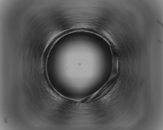 X0000091881116200709121408