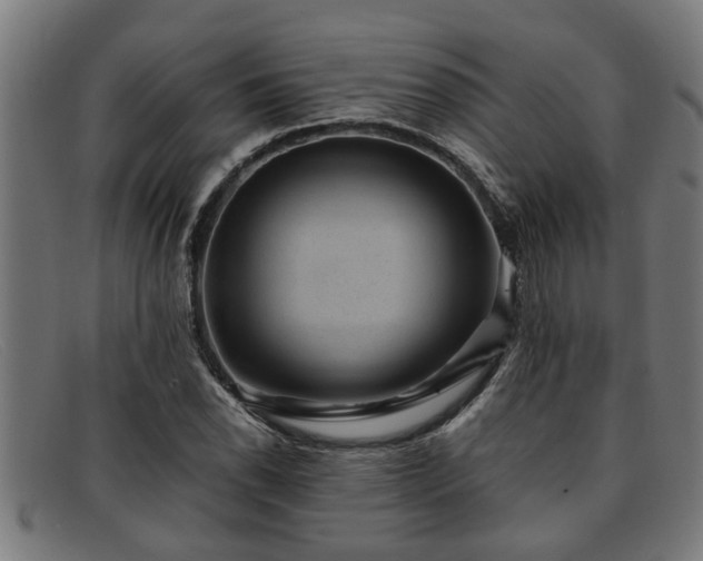 X0000091881118200709121408