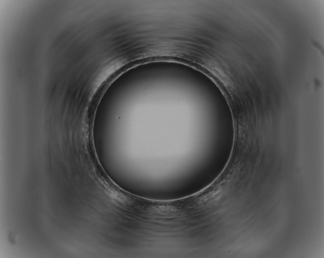 X0000091881119200709121408
