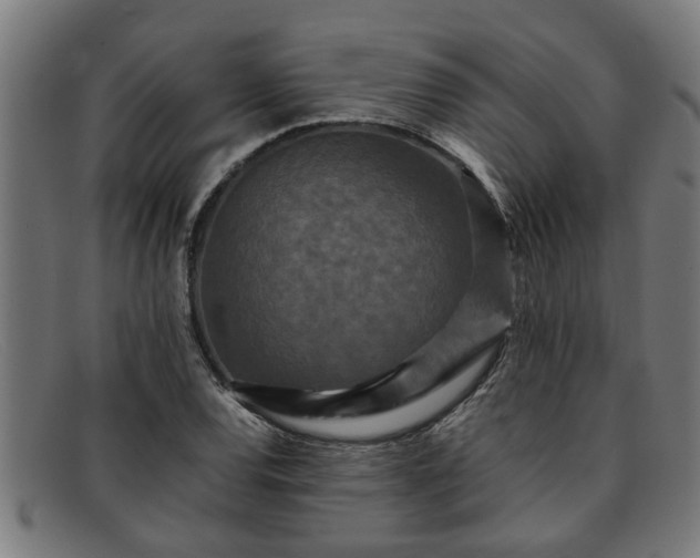 X0000091881120200709121408