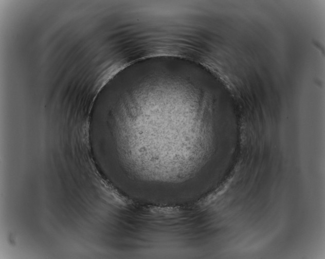X0000091881121200709121408