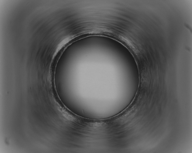 X0000091881122200709121408