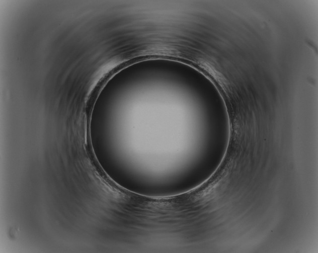 X0000091881123200709121408