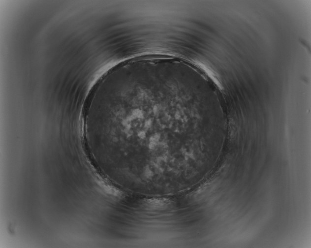 X0000091881125200709121408