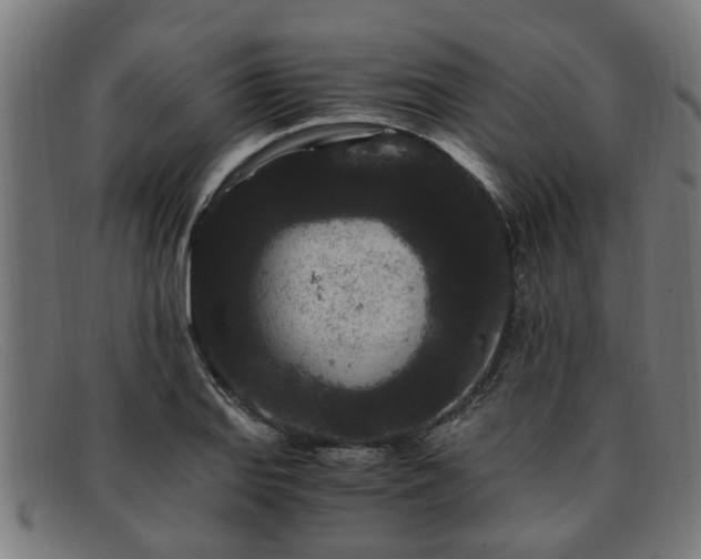 X0000091881127200709121408