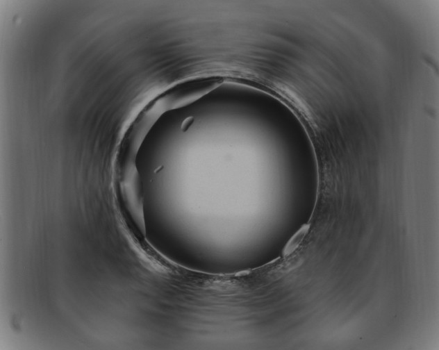 X0000091881128200709121408