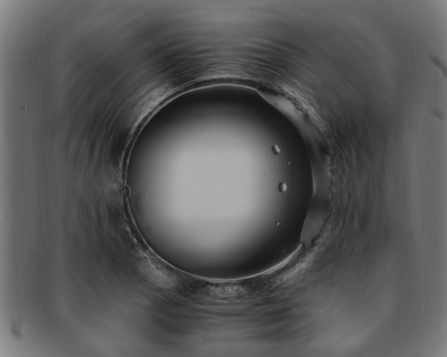 X0000091881129200709121408