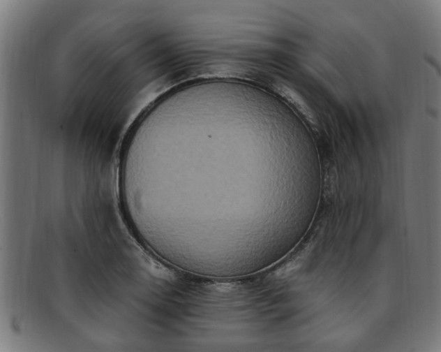 X0000091881130200709121408