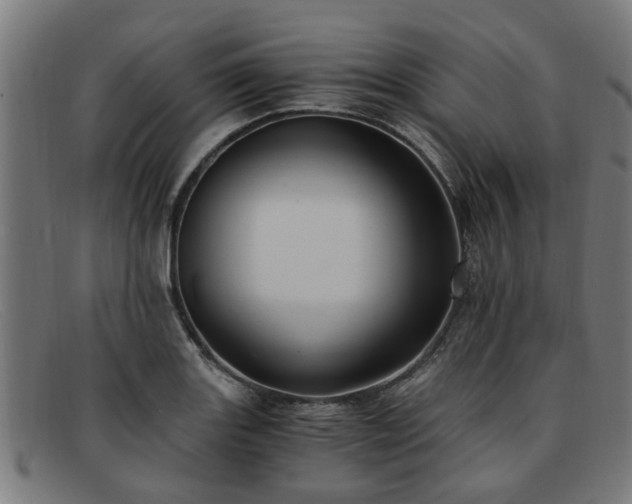 X0000091881131200709121408