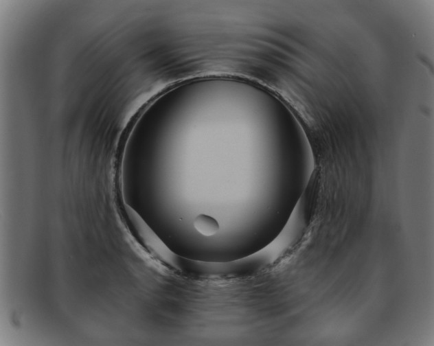 X0000091881134200709121408
