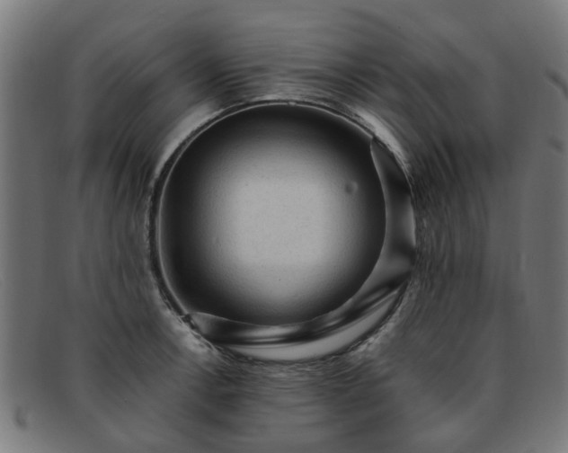 X0000091881138200709121408