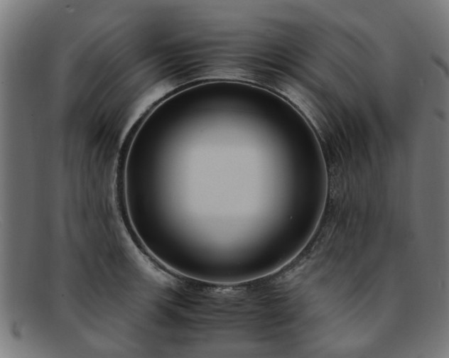 X0000091881139200709121408