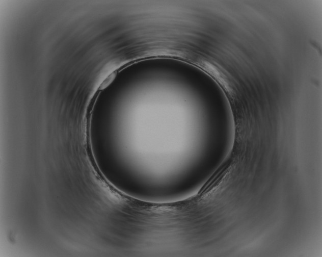 X0000091881140200709121408
