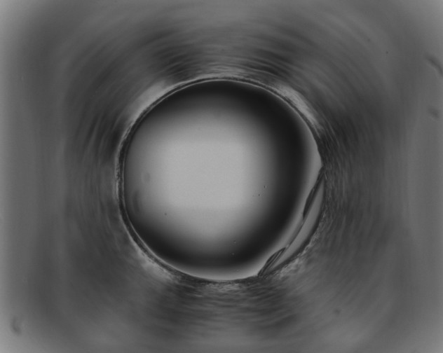 X0000091881143200709121408