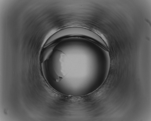 X0000091881146200709121408