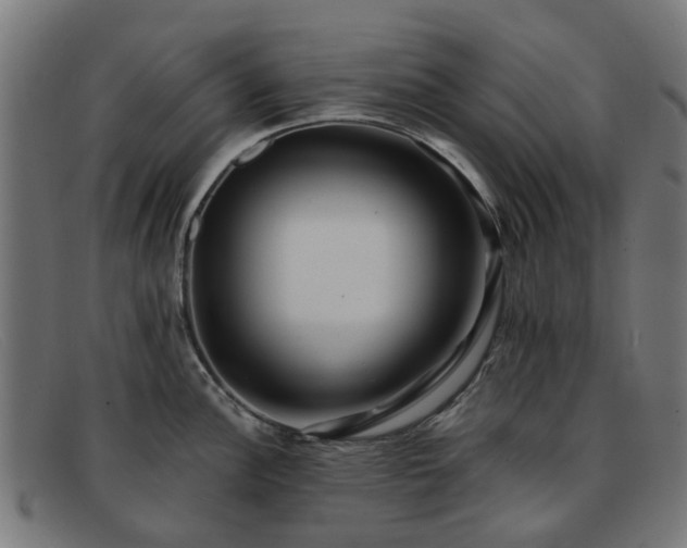 X0000091881148200709121409