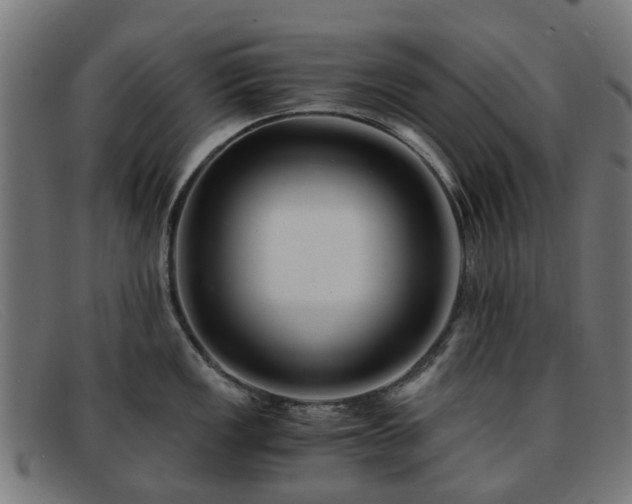 X0000091881149200709121409