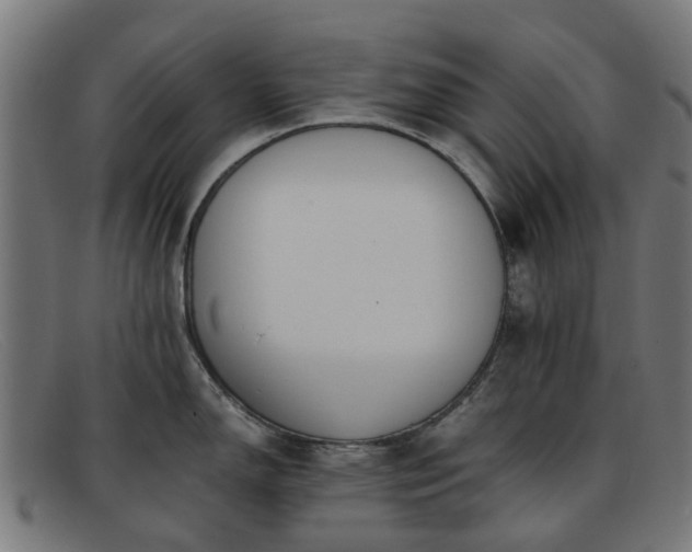 X0000091881150200709121409