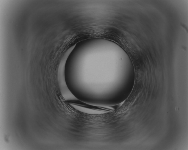 X0000091881153200709121408