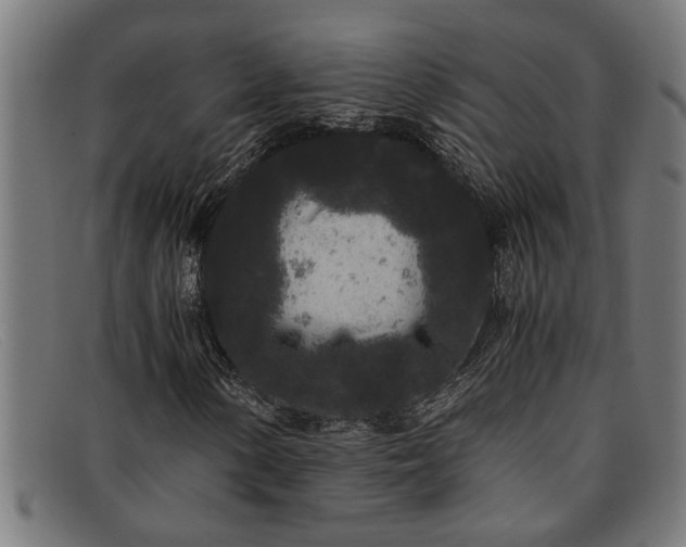 X0000091881154200709121408