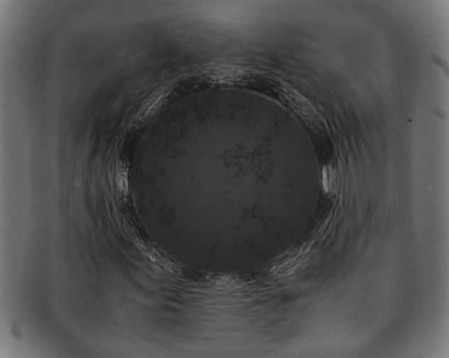 X0000091881155200709121408
