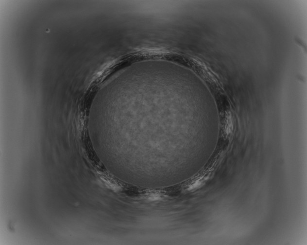 X0000091881157200709121408