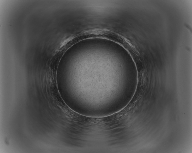 X0000091881158200709121408