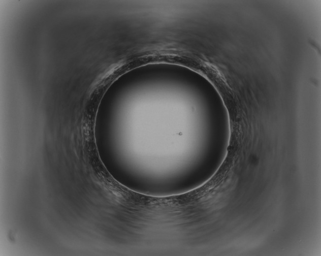 X0000091881159200709121408