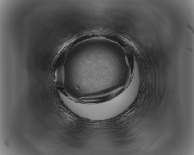 X0000091881160200709121408