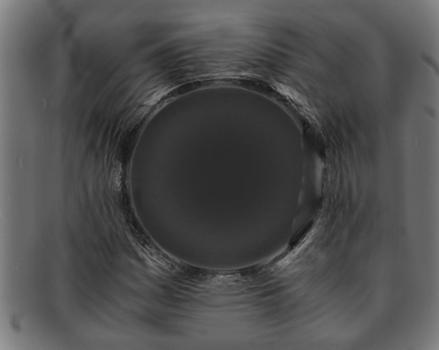X0000091881161200709121408