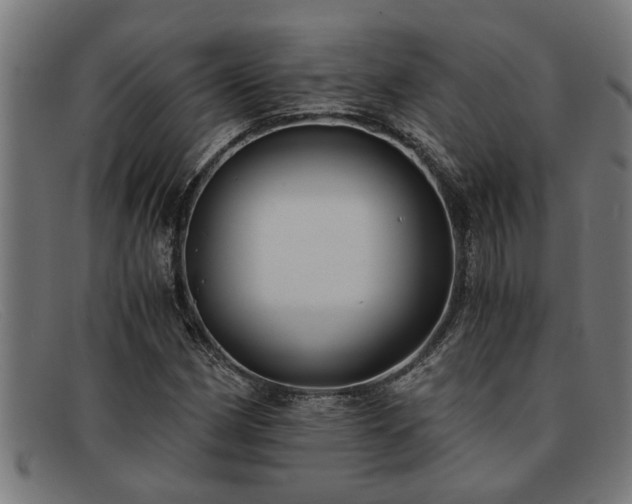 X0000091881162200709121408