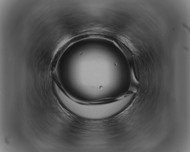 X0000091881164200709121408