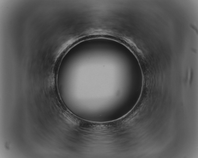 X0000091881167200709121408