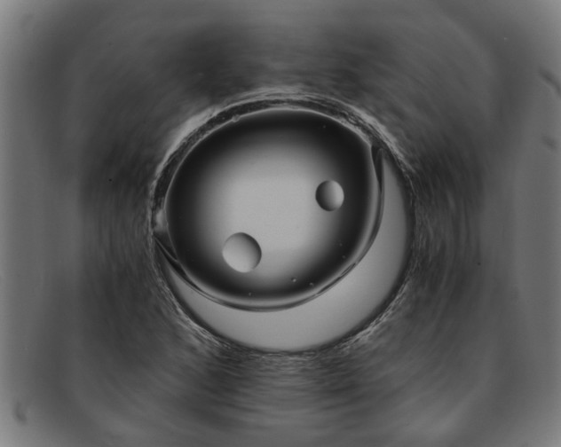 X0000091881168200709121408