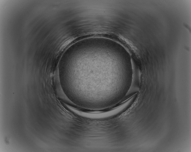 X0000091881169200709121408