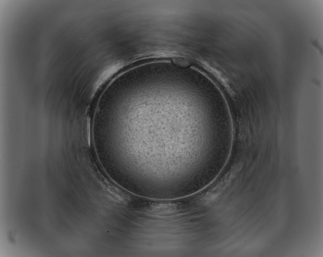 X0000091881171200709121408