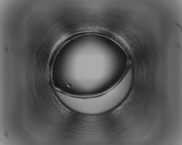 X0000091881172200709121408