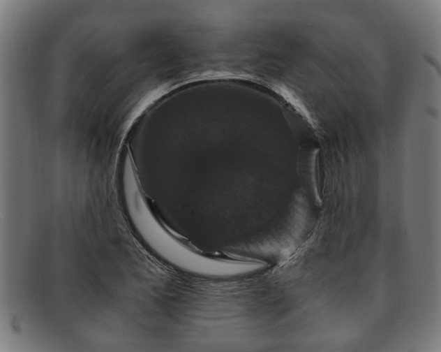 X0000091881173200709121408
