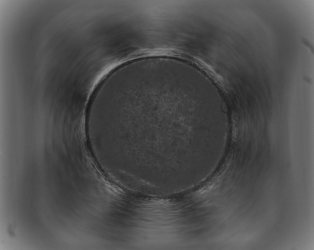 X0000091881174200709121408