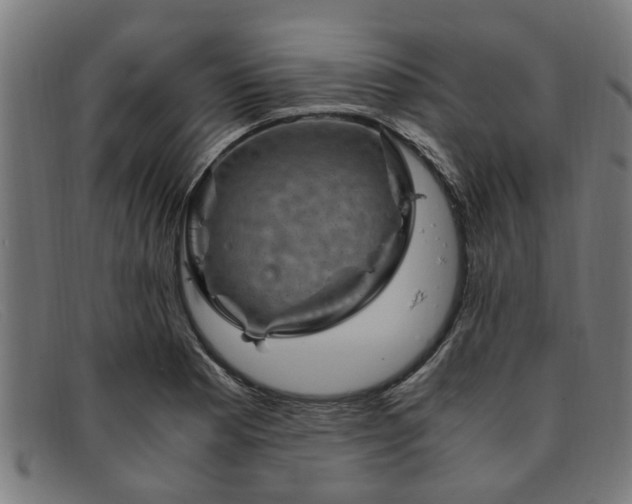 X0000091881177200709121408