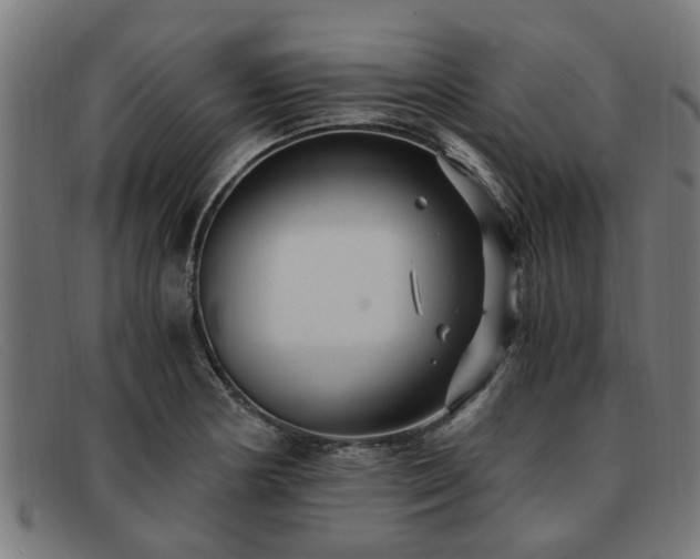 X0000091881178200709121408