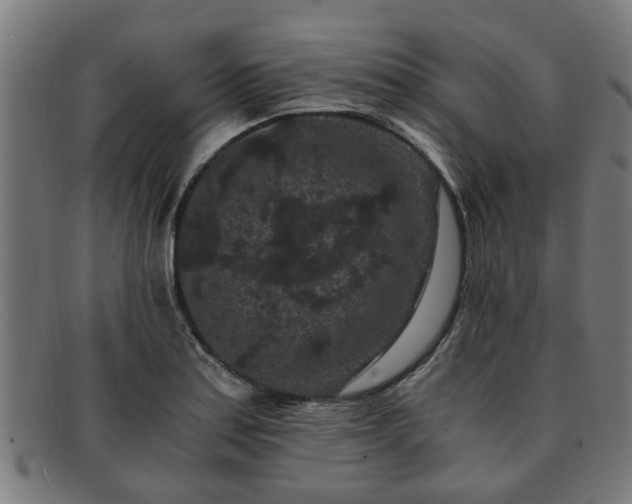 X0000091881179200709121408